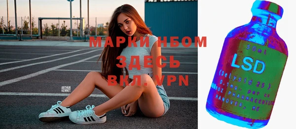 мет Бородино