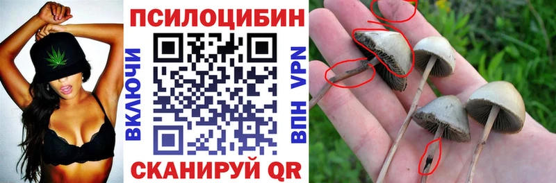 Псилоцибиновые грибы GOLDEN TEACHER  купить  сайты  Инта 